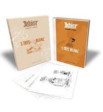 Astérix Tome 40 : l'iris blanc - artbook