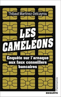 Les Caméléons : Enquête sur l'arnaque aux faux conseillers bancaires