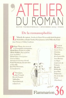 L'atelier du roman - l'irlande du roman