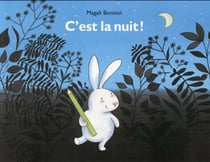 C'est la nuit