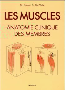 Les muscles - anatomie clinique des membres