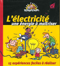 L'electricite une energie a maitriser