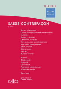 Saisie-contrefaçon (édition 2012/2013)