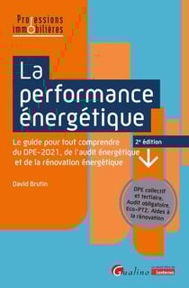 La performance énergétique : Le guide pour tout comprendre du DPE-2021, de l'audit énergétique et de la rénovation énergétique (2e édition)