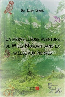 La merveilleuse aventure de Willy Morgan dans la vallée aux pierres