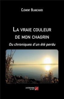 La vraie couleur de mon chagrin ou chroniques d'un été perdu