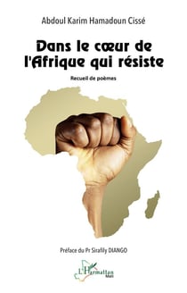 Dans le coeur de l'Afrique qui résiste