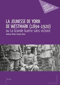 La jeunesse de Yorik de Westmark (1894-1920) ou la Grande Guerre sans victoire