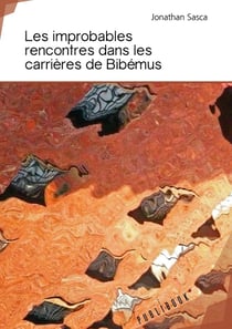 Les improbables rencontres dans les carrières de bibémus