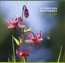 Fleurs des montagnes - belles d'altitude