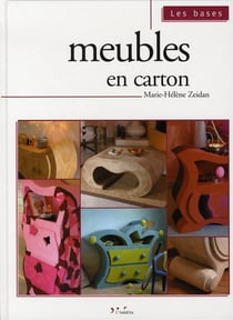 Meubles en carton