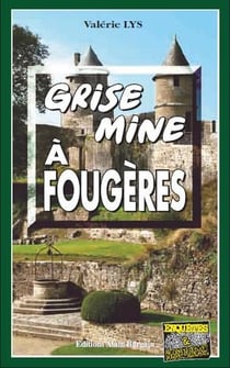 Grise mine à Fougères