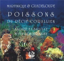 Martinique et Guadeloupe - poissons du récif corallien