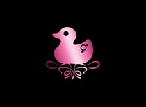 Confessions d'un canard sex-toy - coffret t.1 et t.2
