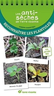 Les antisèches de Terre vivante : reconnaître les plantules