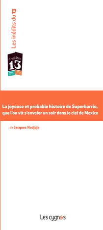 La joyeuse et probable histoire de superbarrio, que l'on vit s'envoler un soir dans le ciel de mexico