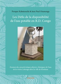 Les défis de la disponibilité de l'eau potable en r.d. congo