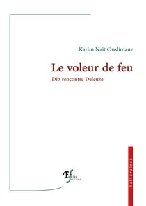 Le voleur de feu : Dib rencontre Deleuze