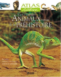 Ces étranges animaux venus de la préhistoire