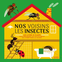 Nos voisins les insectes - un livre à flaps, pour débusquer les petites bêtes qui vivent dans la maison
