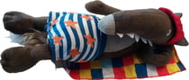 Ma peluche loup à la plage