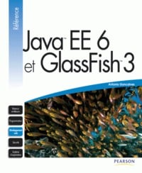 Java ee6 et glassfish 3