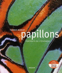 Papillons - portraits de l'éphémère