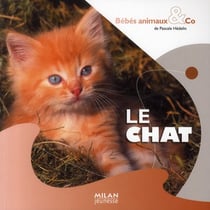 Le chat