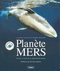 Planète mers