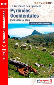 Pyrenees Occidentales Ned 2016 - 64 - Gr - 1086