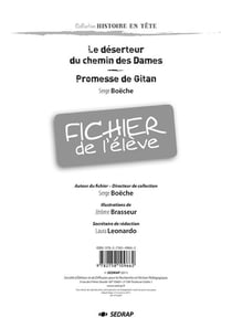 DESERTEUR DU CHEMIN DES DAMES - FICHIER