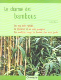Le charme des bambous