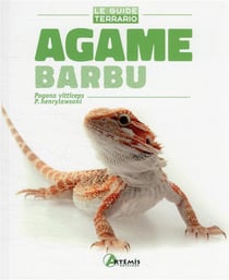 Agame barbu - pogona vitticeps, p. henrylawsoni