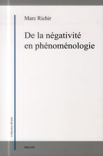 De la négativite en phénoménologie