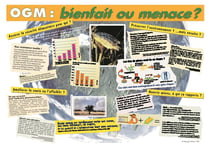 Ogm : bienfait ou menace ?