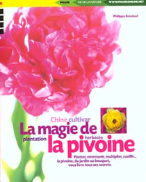 La magie de la pivoine