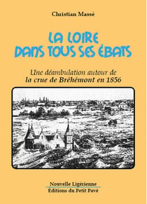 La loire dans tous ses ébats - une déambulation autour de la crue de bréhémont en 1856