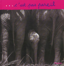 C'est pas pareil (edition 2004)
