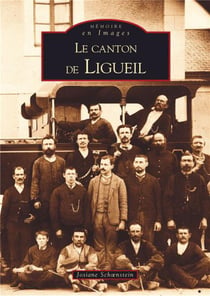 Le canton de Ligueil