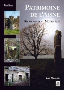 Patrimoine de l'aisne - des origines au moyen âge