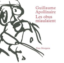 Les obus miaulaient