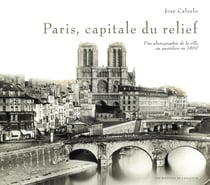 Paris, capitale du relief - une photographie de la ville au quotidien en 1860