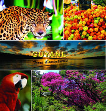 Guyane terre d'aventures