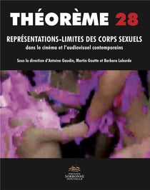 REPRESENTATIONS-LIMITES DES CORPS SEXUELS DANS LE CINEMA ET L'AUDIOVI