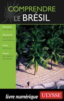 Comprendre le brésil