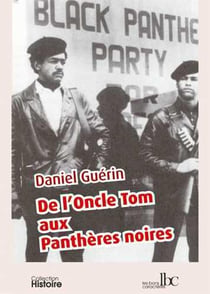 De l'oncle Tom aux panthères noires