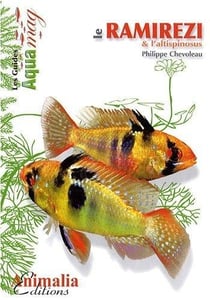 Le ramirezi & l'altispinosus
