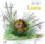 Lutra