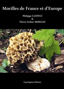 Morilles de France et d'Europe