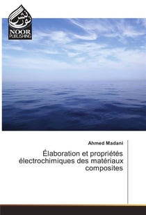 Elaboration et proprietes electrochimiques des materiaux composites